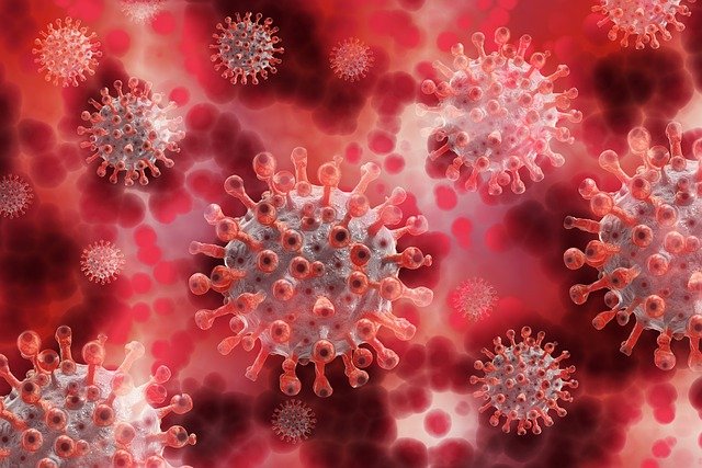 Czechia's coronavirus infections hit new daily record - Czech Points