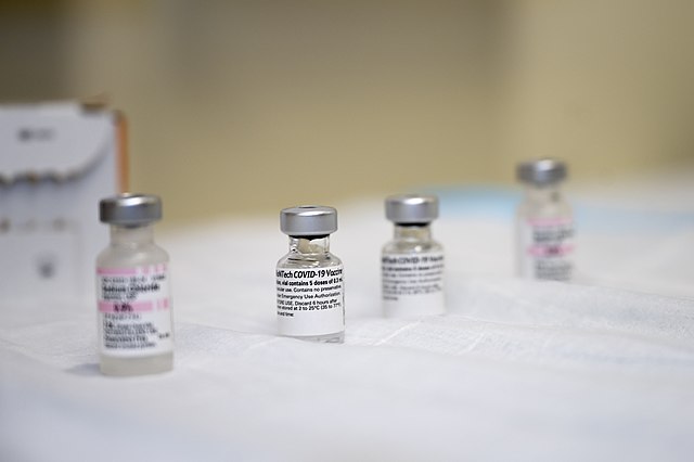 Govt likely to approve third COVID-19 vaccine dose - Czech Points