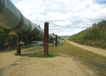State reserves chief: Druzhba pipeline oil not contaminated - Czech Points